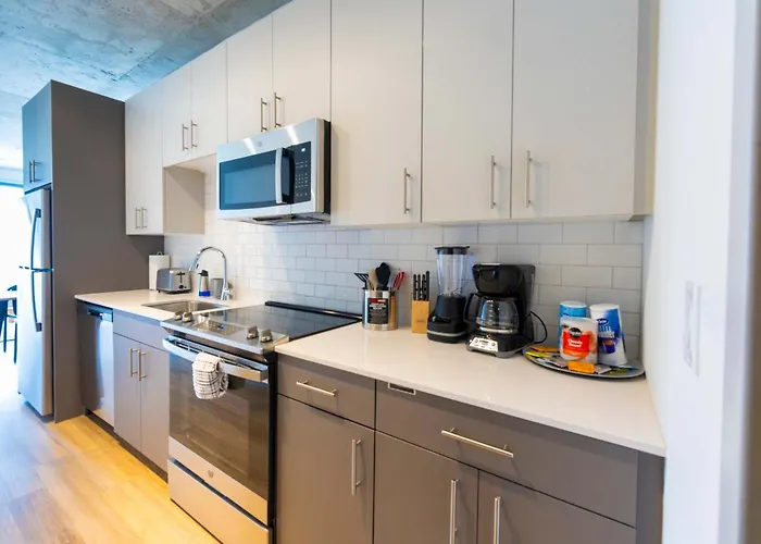 4br Modern Urban Escape Walk To Zoo Lakefront & Red Line Chicago